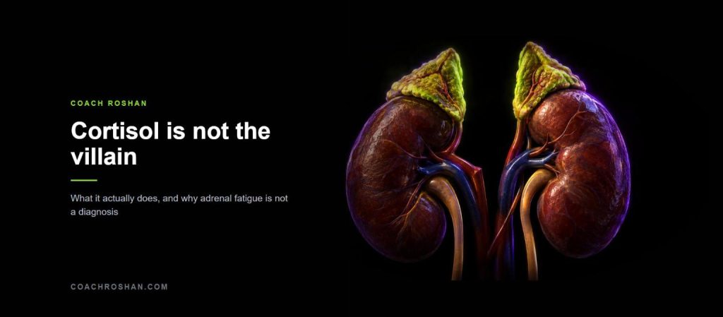 Anatomical illustration of adrenal glands atop the kidneys, lit in lime green with violet rim light